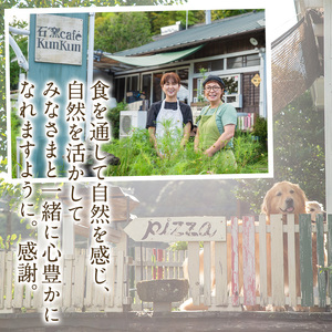 No.1211-A マルゲリータ(2枚) ピザ 詰め合わせ セット マルゲリータ 冷凍 チーズ 石窯 薪焼き ピッツァ 手作り お祝い パーティー 贅沢 簡単調理 【石窯cafe kunkun】
