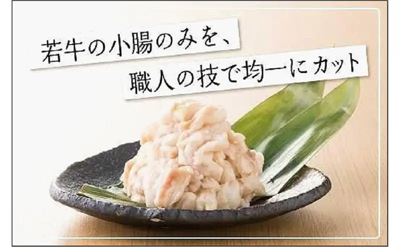博多もつ鍋おおやま みそ味 2人前 | 鍋 セット 食品 加工食品 人気 おすすめ 送料無料