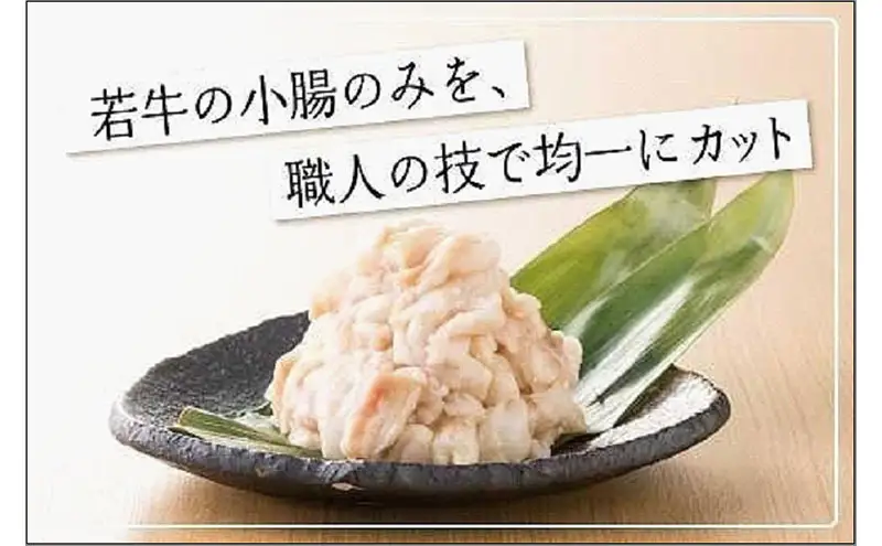 【もつ増量】博多もつ鍋おおやま もつ鍋しょうゆ味2人前＋もつ240g | 鍋 セット 食品 加工食品 人気 おすすめ 送料無料