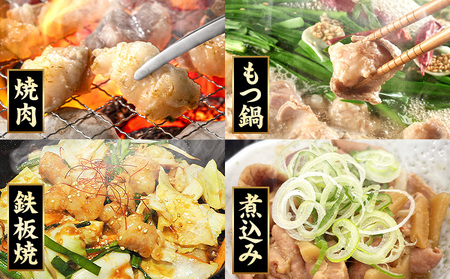 あか牛 白ホルモン 3kg 6ヶ月定期便 五右衛門フーズ 《お申込み月の翌月から出荷開始》 熊本県 球磨郡 山江村 牛肉 肉 国産 熊本県産 ブランド牛 絶品 贅沢 高級 あか牛 ホルモン もつ モツ もつ鍋