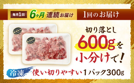 【6回定期便】長崎和牛 切落し 300g×2パック / 長崎和牛 切落し 和牛 国産牛 牛肉 / 諫早市 / 有限会社長崎フードサービス [AHDD007]