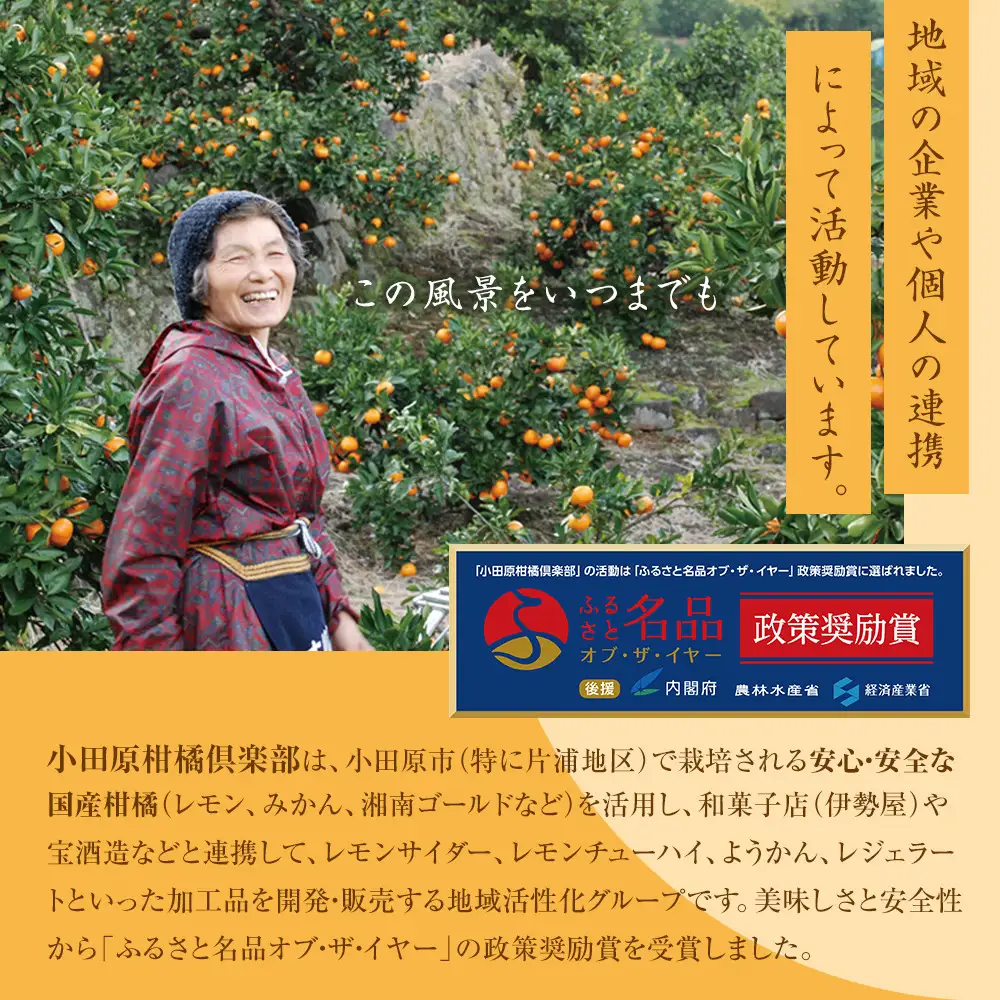 【小田原の柑橘果汁を使ったドロップ3種類セット】口に入れるとフルーツの香りが広がるドロップ。【 ドロップ 神奈川県 小田原市 ドロップ】