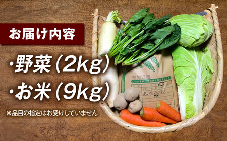 お米 あいちのかおり 9kgと旬の季節野菜 詰め合わせ / お米の三輪[AECM003]