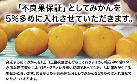 訳あり 大粒みかん 約9kg 5L～3Lサイズ 《2027年1月中旬-2月末頃出荷》みかん 訳ありみかん 熊本県産みかん 大容量