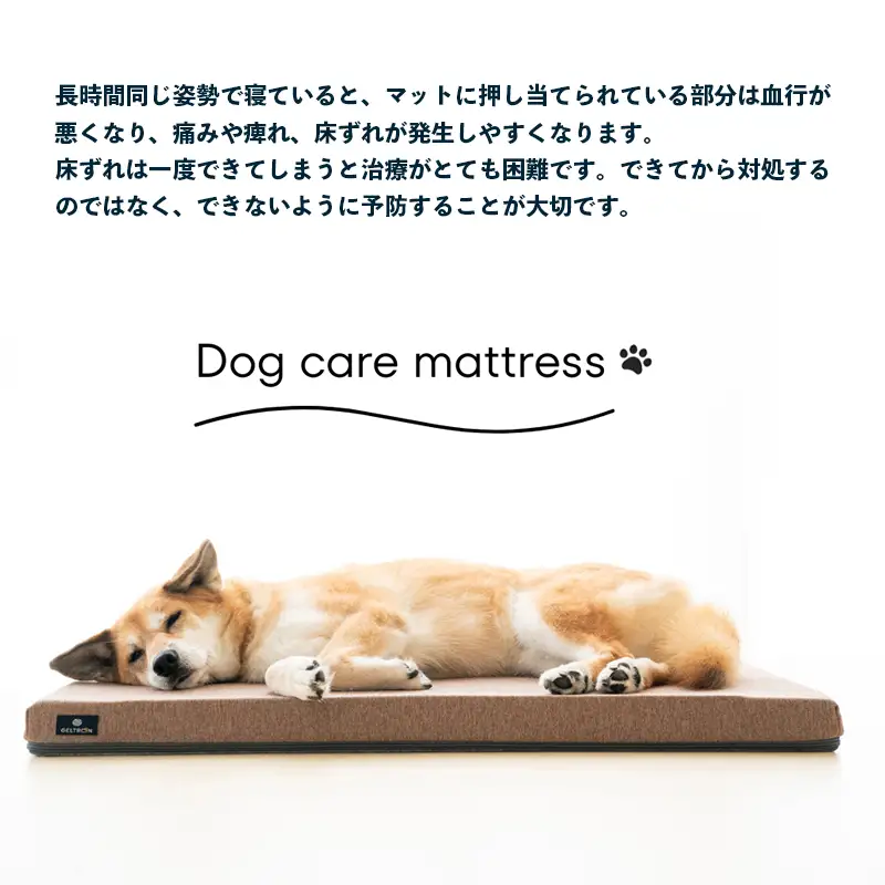 Dog ケアマットレス Mサイズ ： ペット用品 ペット介護 ペットマット ジェルトロン