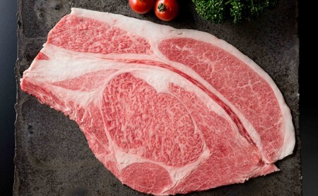 定期便 12ヶ月 佐賀牛 贅沢 コース 年 12回 牛肉 肉 お肉 お楽しみ ※配送不可：北海道、沖縄、離島