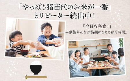 令和7年産 猪苗代町ブランド米 いなわしろ天のつぶ( 精米 ) 5kg ｜ お米 白米 福島 大粒 寿司 和食