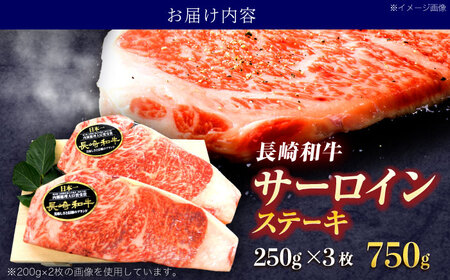 長崎和牛サーロインステーキ 約750g(250g×3枚)[OCE047]