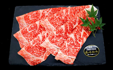 長崎和牛リブローススライス約1kg(500g×2)[OCE055]