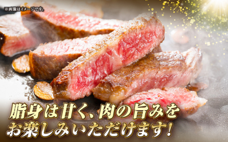 【全12回定期便】長崎和牛 サーロイン ステーキ 250g×2 《壱岐市》【KRAZY MEAT】 A5 A4 冷凍 和牛 肉 牛肉 BBQ [JER123]