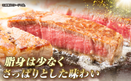 【全6回定期便】長崎和牛 ヒレ ステーキ 200g×2 《壱岐市》【KRAZY MEAT】 A5 A4 冷凍 和牛 肉 牛肉 BBQ [JER130]