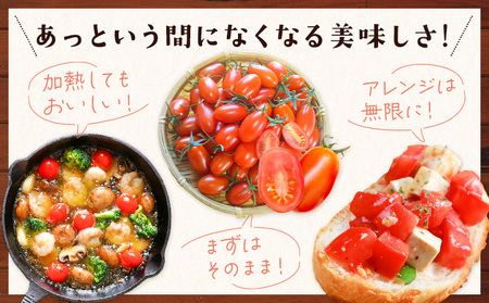 トマト あいこ あいこトマト 200g×4パック 吉祥庵園芸《11月上旬-6月上旬頃出荷》鹿児島県 さつま町 送料無料 野菜 トマト お取り寄せ
