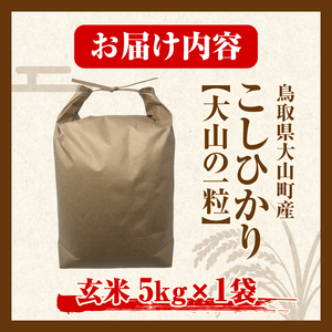 【令和8年10月以降発送新米】MS-106　大山町産こしひかり【大山の一粒】5ｋｇ（玄米）