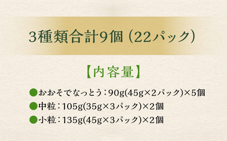 おとぷけ納豆 3種セット（3種 22パック） 【B72】 なっとう セット