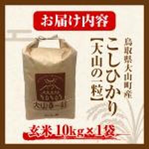 【令和8年10月以降発送新米】MS-107 大山町産こしひかり【大山の一粒】10ｋｇ（玄米）