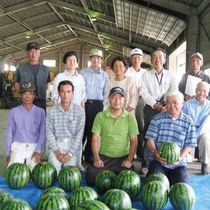 茨城県産大玉すいか2玉（1玉6～7.5kg）Lサイズ JA水郷つくば 先行予約 スイカ 西瓜 フルーツ 果物 くだもの 大玉 茨城県 阿見町【2026年6月中旬より発送予定】（20-04）
