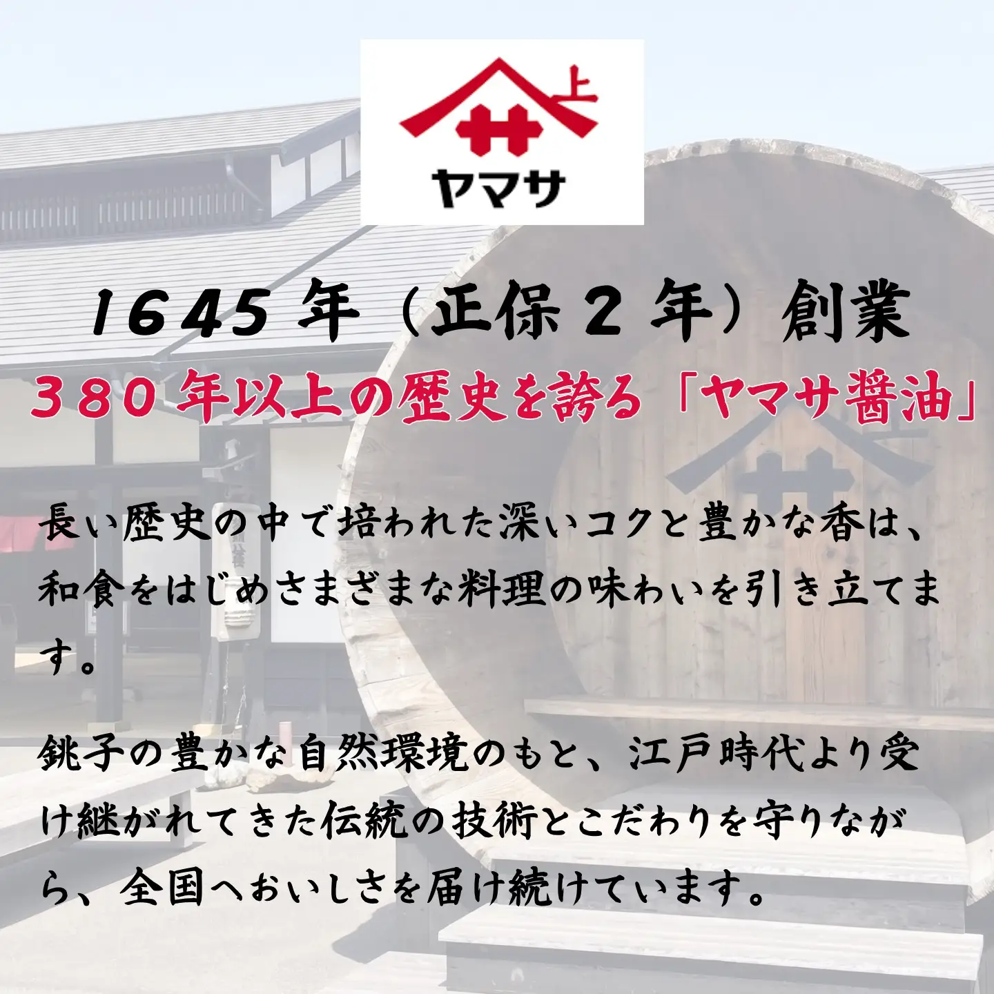 ヤマサ減塩しょうゆ 6本(1本600ml) しょうゆ