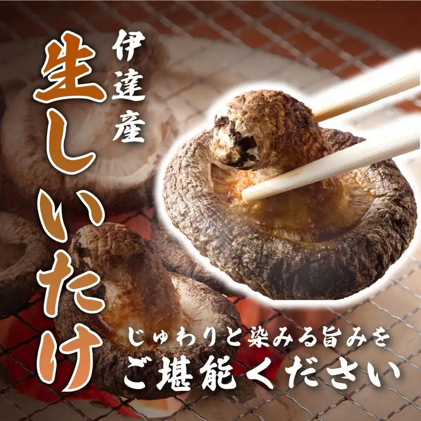 [5525-1108]訳あり 湘南しいたけ 生 しいたけ 1.5kg 規格外 訳アリ しいたけ シイタケ 椎茸 きのこ キノコ ヘルシー 栄養 肉厚 ジューシー フレッシュ 国産 産地直送 アレンジ BBQ バーベキュー 北海道 伊達市