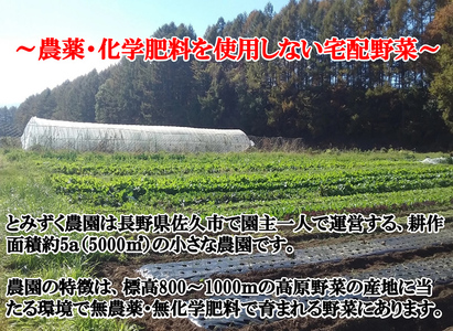 【2027年夏出荷開始・6回定期便】産地直送！旬の高原野菜セット(北海道・沖縄県・離島は配送不可) 長野 信州 無農薬 季節 新鮮 詰合せ 直送 先行予約〈2027年6月17日出荷開始～2027年12月28日出荷終了〉