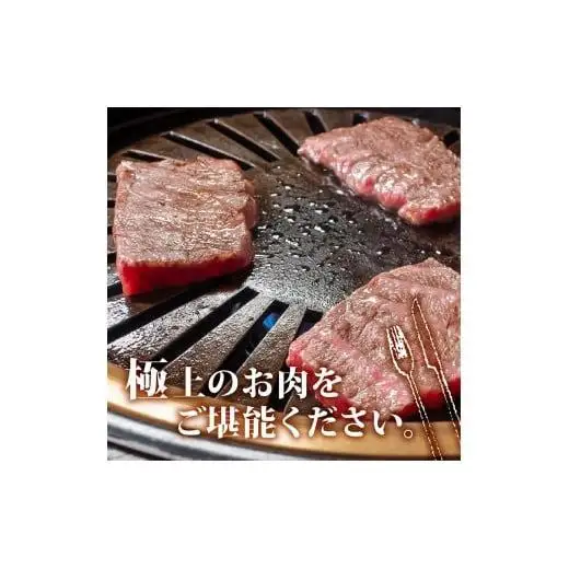 【 焼き肉 】 焼き肉黒毛和牛モモ肉3ヶ月