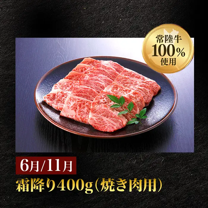 【定期便】【全6回】常陸牛お楽しみ定期便（6ヶ月連続でお届け） 528