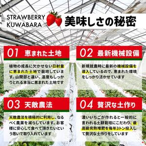 いちご やよいひめ 800g いちご品評会最高金賞 化粧箱入り