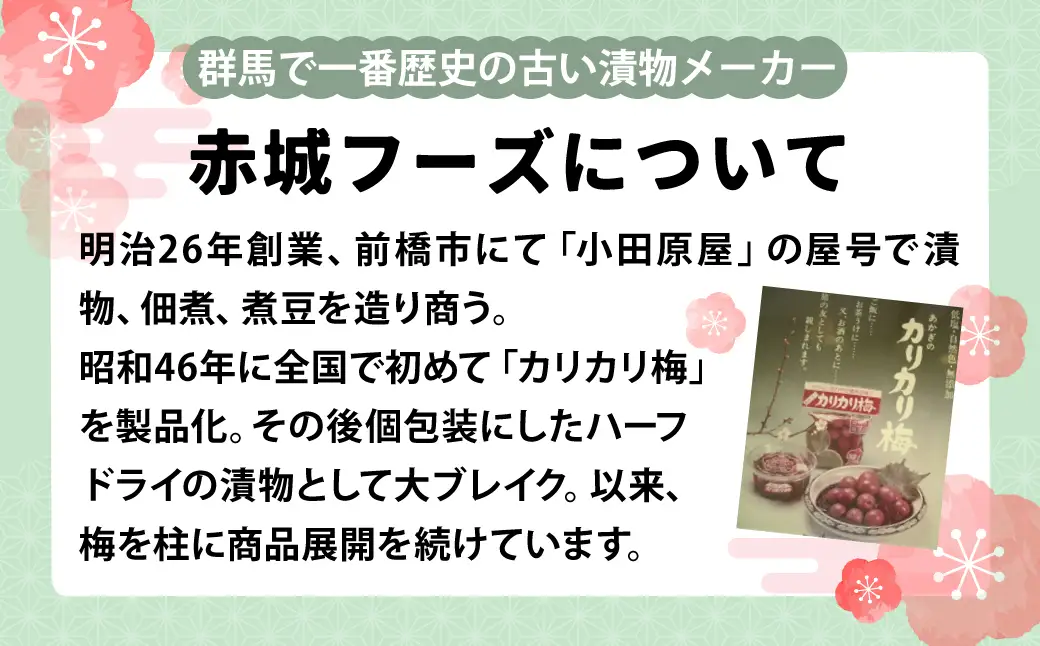 梅 シロップ 国産 梅のしろっぷ 2本セット