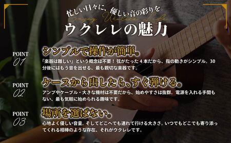 楽器 ゼファー ウクレレ ソプラノ ウクレレ 楽器