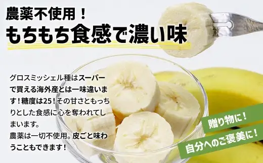 バナナ 紙箱入り 約10本 1.2kg 国産バナナ 贈答