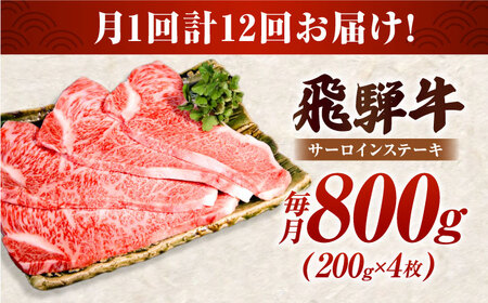【12回定期】特選飛騨牛5等級サーロインステーキ800g [AVAG010] 飛騨牛 サーロインステーキ