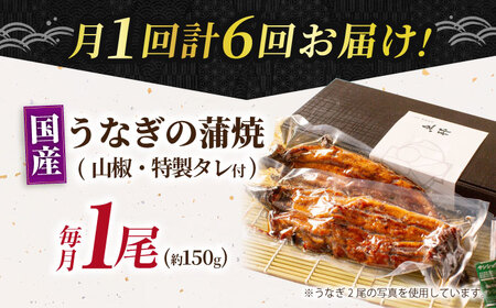 【6回定期便】国産上うなぎ蒲焼 1尾 約150g  [AVBH009]魚邦 鰻