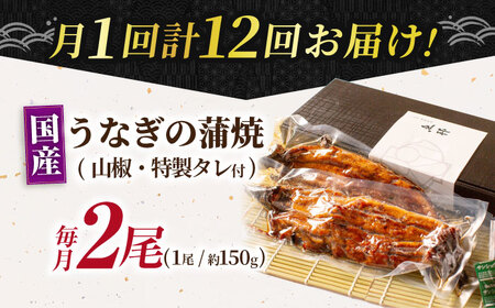 【12回定期便】国産上うなぎ蒲焼 2尾 約150g×2パック  [AVBH013]魚邦 定期便
