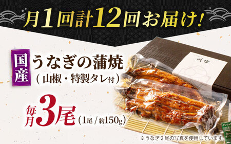 【12回定期便】国産上うなぎ蒲焼 3尾 約150g×3パック  [AVBH016]魚邦 定期便