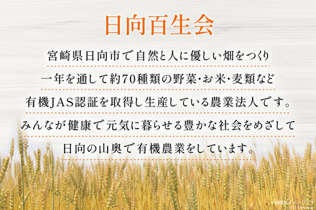 お茶 六条麦茶 10g 20包 [日向百生会 宮崎県 日向市 452061129]