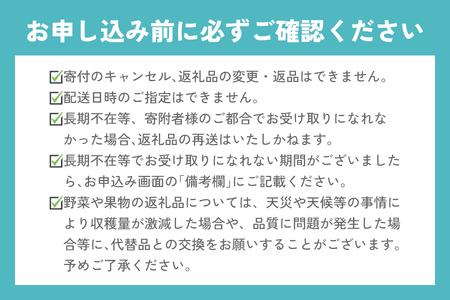 【4ヶ月連続定期便／計4回】 人気のいちご4品種【2027年1月より順次発送】 [0963]