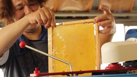 南アルプス天空舎のはちみつアカシア300g ALPAB106