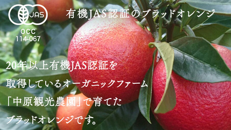 瀬戸内 オーガニック ブラッドオレンジ 1kg (8〜10個程度)  【2027年2月下旬以降発送】
