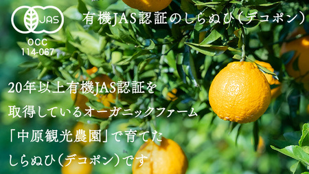 瀬戸内 オーガニック 不知火 3kg 【2027年2月～3月発送】