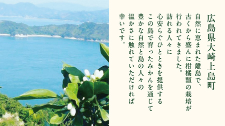 瀬戸内 オーガニック 紅甘夏 4kg 【2027年3月下旬以降発送】