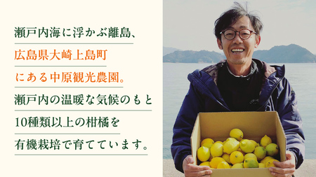 【 先行予約 】 瀬戸内 オーガニック レモン 3kg (24～30個程度) 2027年2月～3月発送