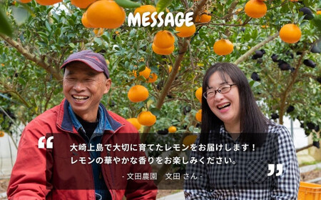芳醇! 文田農園のレモン 約3kg 【2027年 1～2月発送】