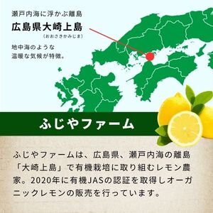 グリーンレモン 約2kg 【2026年 10月 ～ 11月 発送】 先行予約