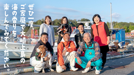 殻付き生牡蠣 冷蔵 約3kg ( 加熱用 ) 26〜33個程度 【1月中旬〜3月発送】 瀬戸内の離島から届く牡蠣  
