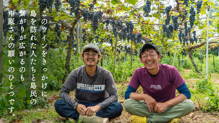 瀬戸内 の ナチュールワイン 750mL 【Vignoble de NAKA 2023 rouge MBA】
