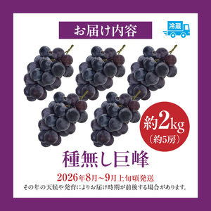 種無し巨峰 約2kg（約5房） 2026年 先行予約 種なしぶどう [098O02]