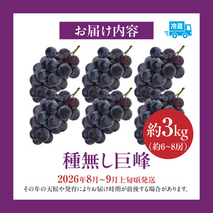 種無し巨峰 約3kg（約6～8房） 2026年 先行予約 種なしぶどう [098O03]