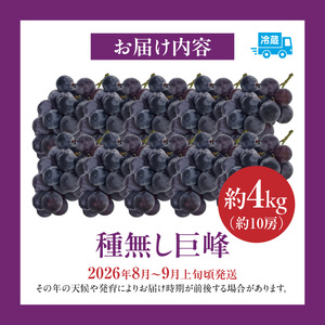 種無し巨峰 約4kg（約10房） 2026年 先行予約 種なしぶどう [098O04]
