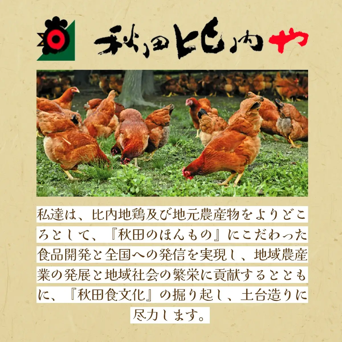 スペシャル比内地鶏　110P2302