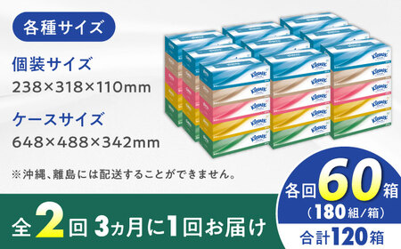 【全2回定期便(3ヵ月に1回)】クリネックス ティシュー 60箱(5箱×12パック ) ティッシュ [BDBH001-2]
