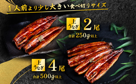 うなぎ 国産 蒲焼き 2尾 250g以上 上うなぎ 6月発送